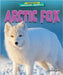 Arctic Fox by Rose, Rachel
