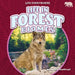 Life in Forest Biomes by Jennifer Boothroyd