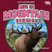 Life in Mountain Biomes by Jennifer Boothroyd