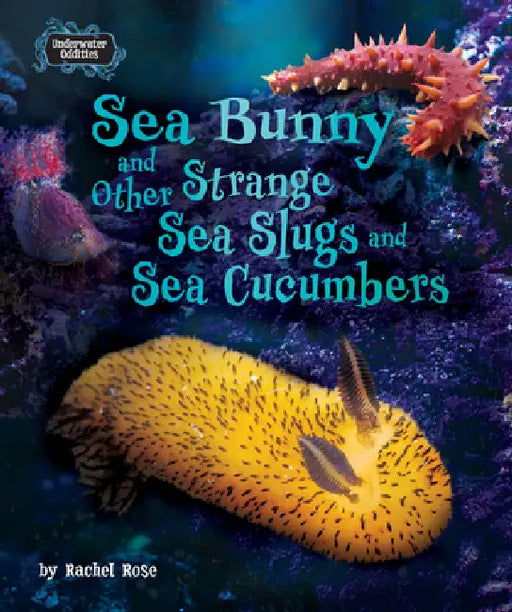 Sea Bunny and Other Strange Sea Slugs and Sea Cucumbers by Rachel Rose