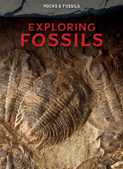 Exploring Fossils by Claudia Martin