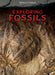 Exploring Fossils by Claudia Martin