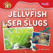 Discovering Jellyfish and Sea Slugs by Charis Mather