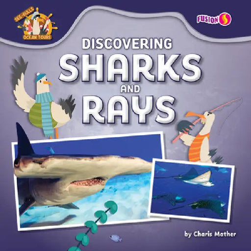 Discovering Sharks and Rays by Charis Mather