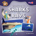 Discovering Sharks and Rays by Charis Mather