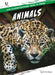 Animals by D. R. Faust