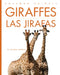 Giraffes / Las Jirafas: Bilingual Edition by Valerie Bodden