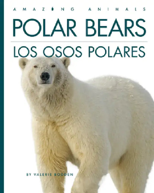 Polar Bears / Los Osos Polares: Bilingual Edition by Valerie Bodden