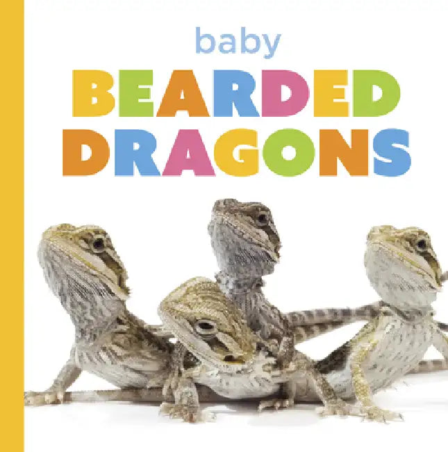 Baby Bearded Dragons by Laura K. Murray