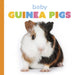 Baby Guinea Pigs by Laura K. Murray