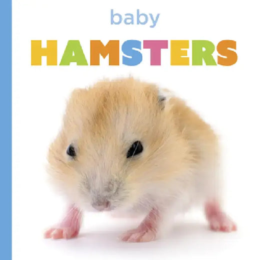 Baby Hamsters by Laura K. Murray