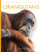 Orangutans by Mari Bolte