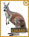 Kangaroo by Pamela Dell