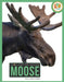 Moose by Lisa M. Bolt Simons