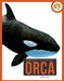 Orca by Pamela Dell