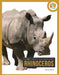 Rhinoceros by Pamela Dell