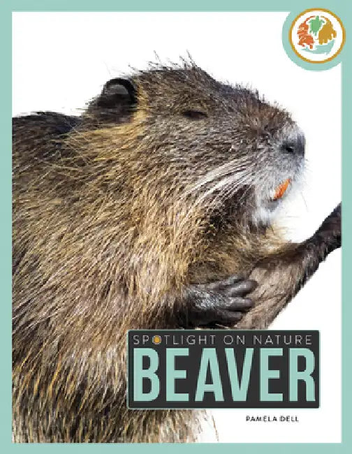 Beaver by Pamela Dell