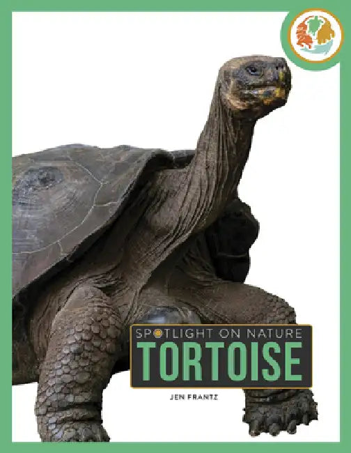 Tortoise by Jen Frantz