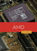 AMD by Erin Silver