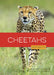 Cheetahs by Rachael Hanel, Andrea MacDonald