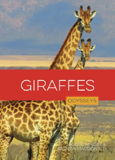 Giraffes by Nicole Helget, Andrea MacDonald