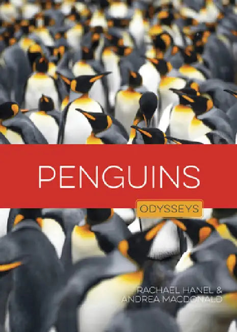 Penguins by Rachael Hanel, Andrea MacDonald