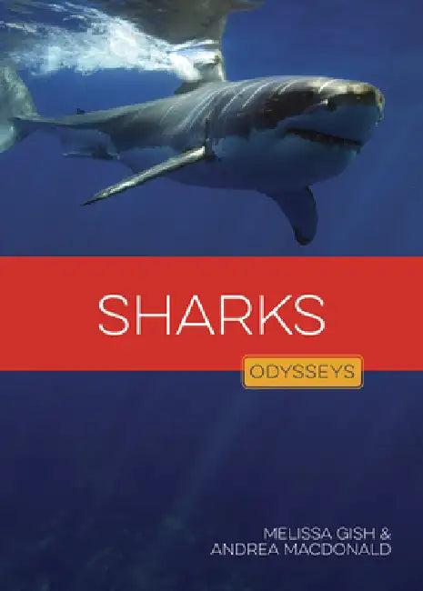 Sharks by Melissa Gish, Andrea MacDonald