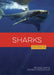 Sharks by Melissa Gish, Andrea MacDonald