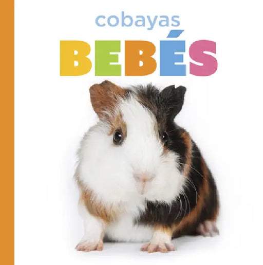 Cobayas Bebés by Laura K. Murray