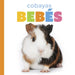 Cobayas Bebés by Laura K. Murray