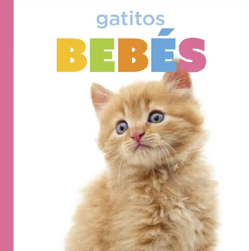 Gatitos Bebés by Laura K. Murray