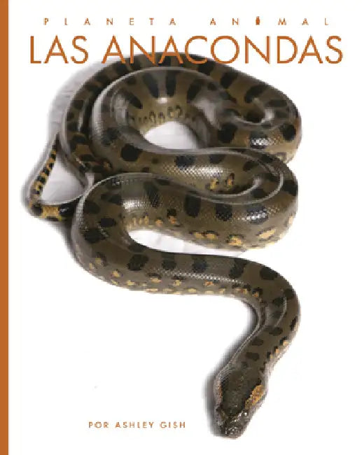 Las Anacondas by Ashley Gish