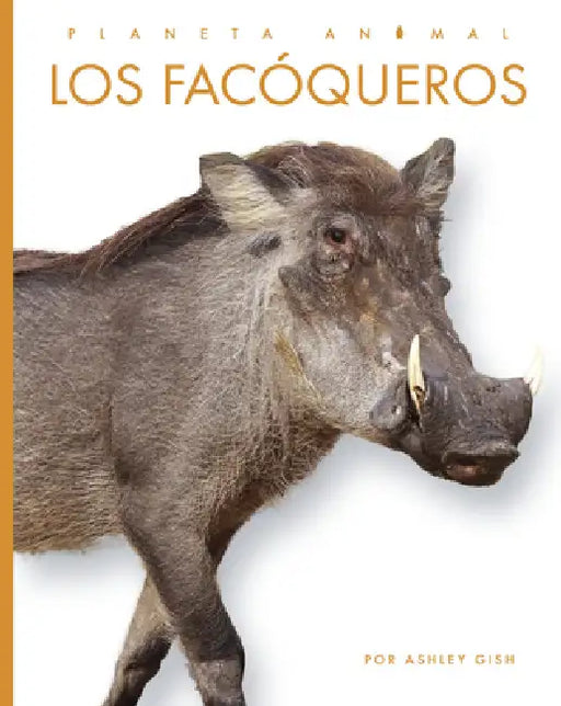 Los Facóqueros by Ashley Gish