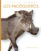 Los Facóqueros by Ashley Gish