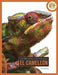 El Cameleón by Jen Frantz