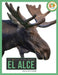 El Alce by Lisa M. Bolt Simons