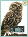 El Búho by Pamela Dell