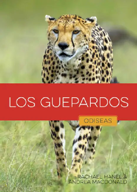 Los Guepardos by Rachael Hanel, Andrea MacDonald