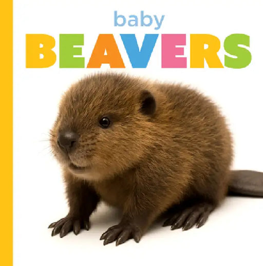 Baby Beavers by Graham Morgan