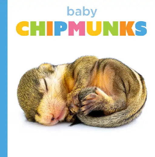 Baby Chipmunks by Graham Morgan