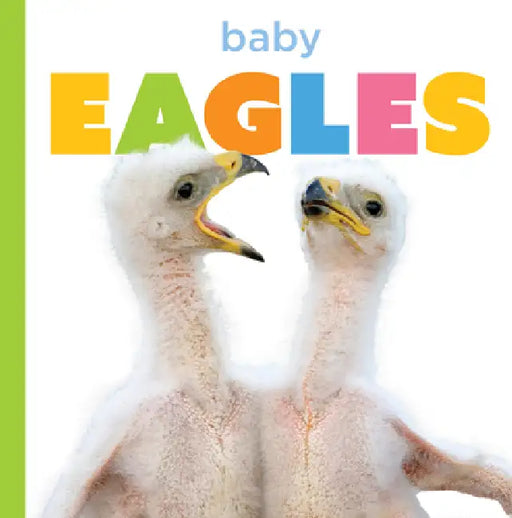 Baby Eagles by Graham Morgan