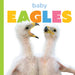 Baby Eagles by Graham Morgan