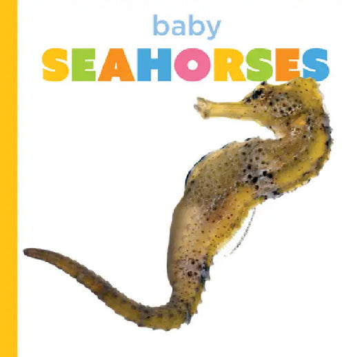 Baby Seahorses by Graham Morgan