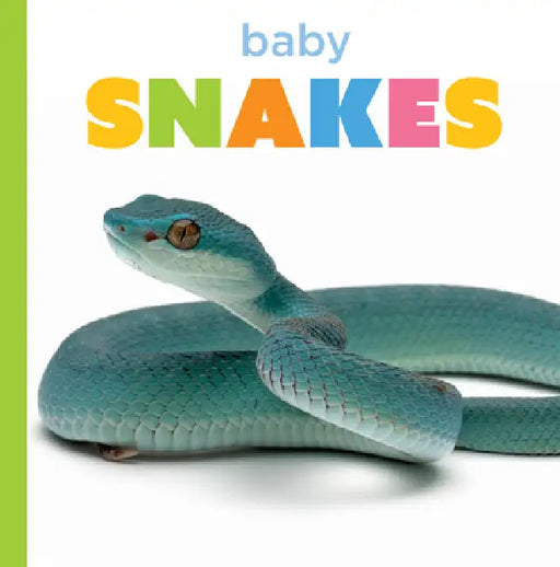 Baby Snakes by Graham Morgan