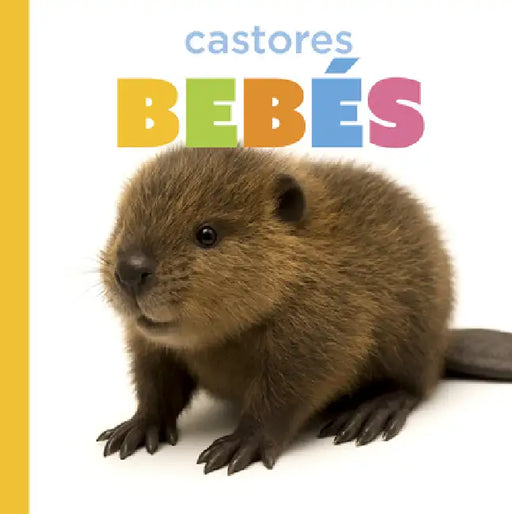Castores Bebés by Graham Morgan