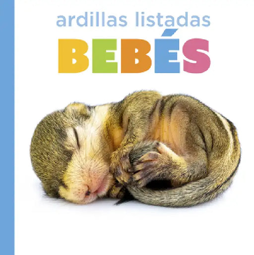 Ardillas Listadas Bebés by Graham Morgan