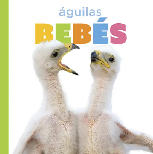 Águilas Bebés by Graham Morgan