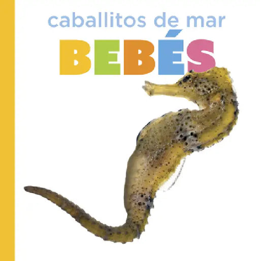 Caballitos de Mar Bebés by Graham Morgan
