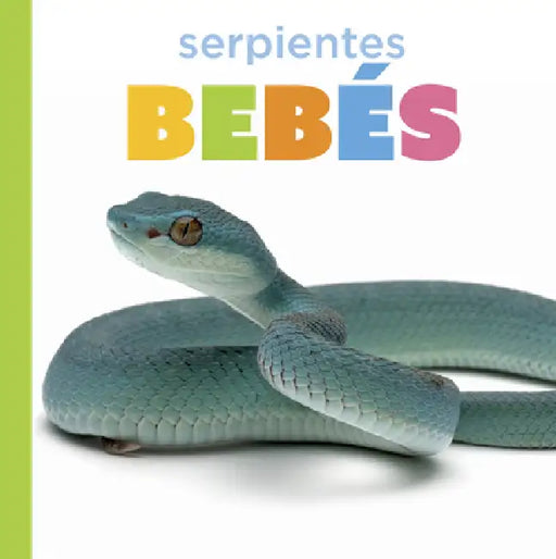 Serpientes Bebés by Graham Morgan