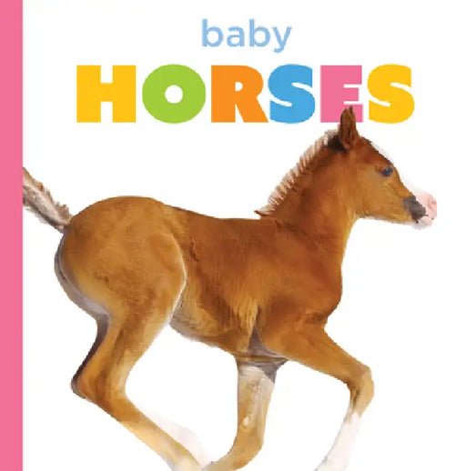 Baby Horses by Graham Morgan